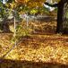 https://www.gitter-profi.de/sites/default/files/imagecache/gallaria_full/bauzaun_mieten_remscheid_baustelle.jpg